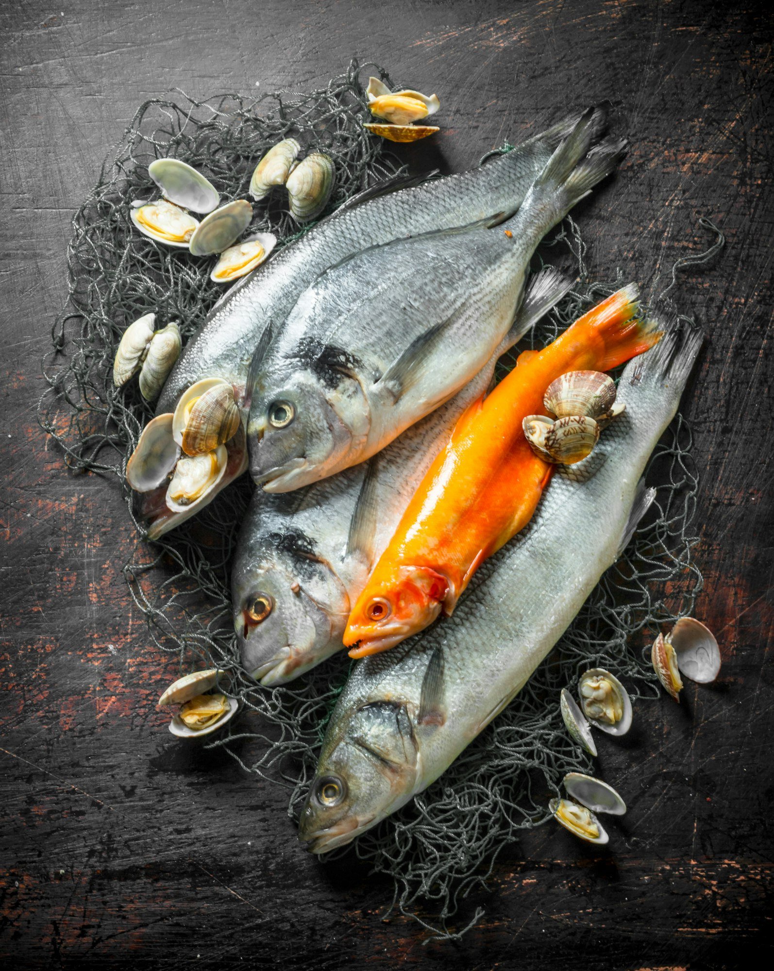 Various raw fish on fishing net with oysters.